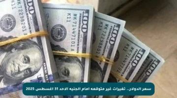 سعر الدولار.. تغيرات غير متوقعة أمام الجنيه الأحد 31 أغسطس 2025